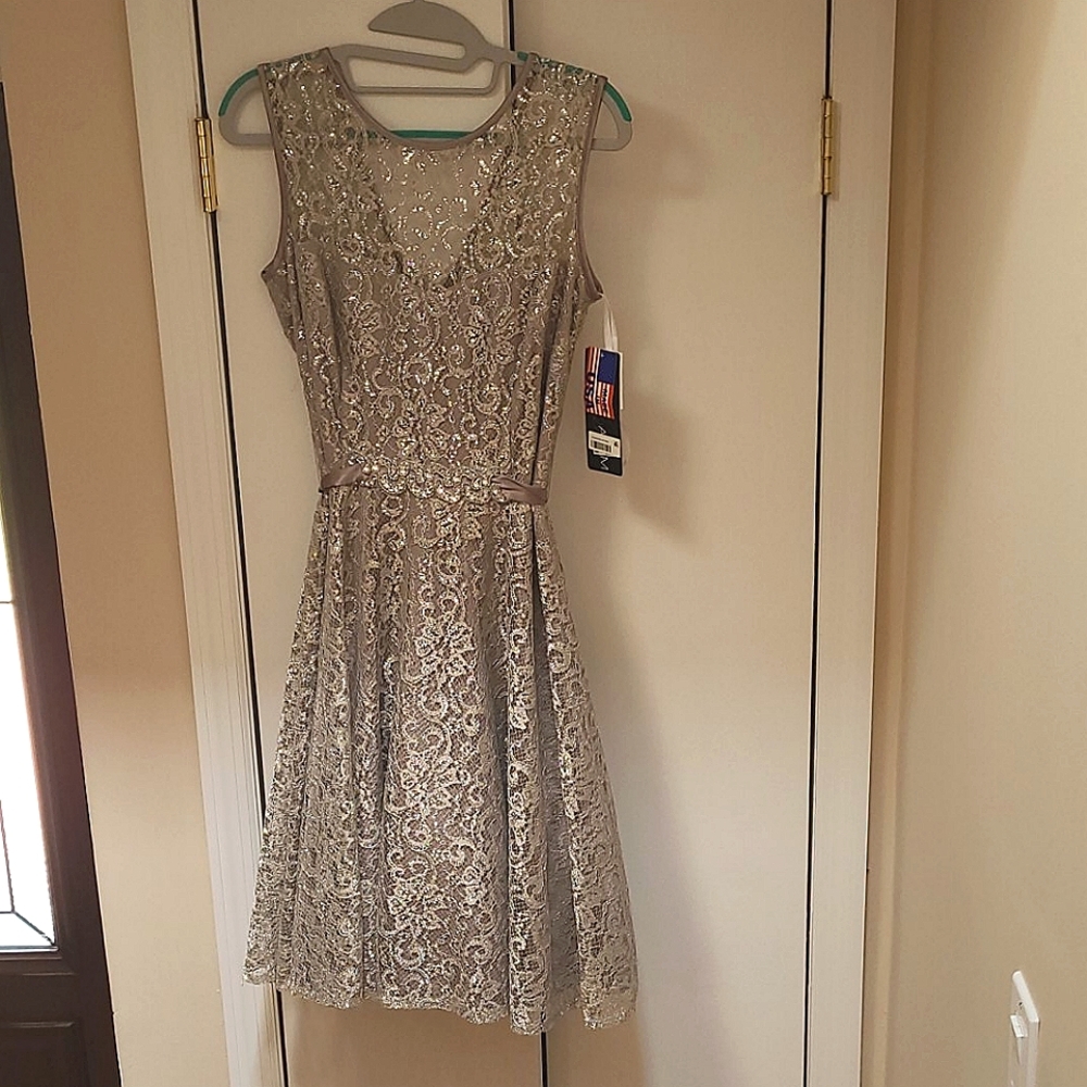 BRAND NEW silver dress